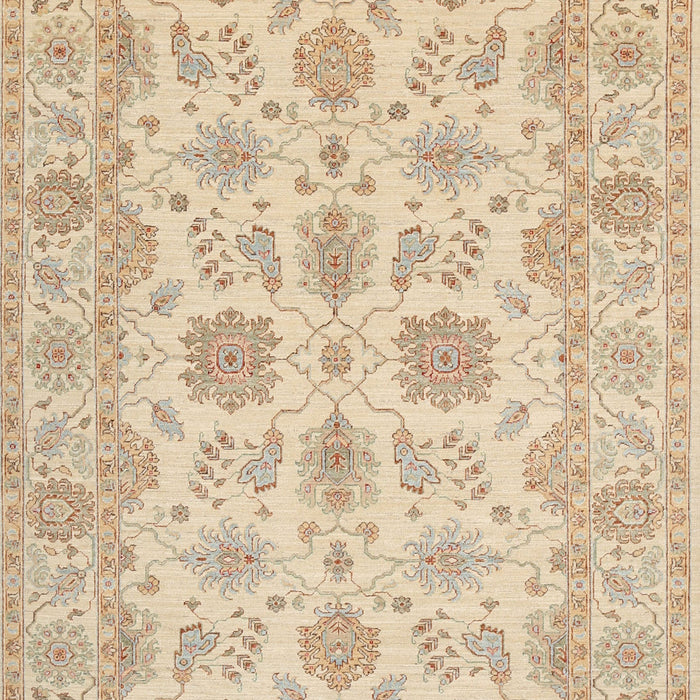 Traditional Brown Oriental Rug, tr1571