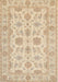 Machine Washable Traditional Brown Rug, wshtr1571