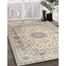 Traditional Vanilla Gold Medallion Rug in Family Room, tr1574