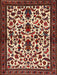 Traditional Saffron Red Persian Rug, tr1577