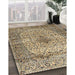 Machine Washable Traditional Sepia Brown Rug in a Family Room, wshtr1582