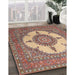 Traditional Brown Red Medallion Rug in Family Room, tr1601