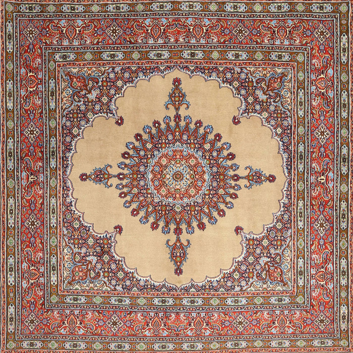 Traditional Brown Red Medallion Rug, tr1601