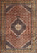 Traditional Orange Salmon Pink Medallion Rug, tr1608