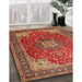 Traditional Brown Medallion Rug in Family Room, tr1609