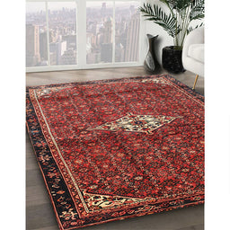 Traditional Red Persian Rug in Family Room, tr160