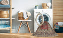 Machine Washable Traditional Brown Red Rug in a Washing Machine, wshtr1613