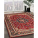 Traditional Red Medallion Rug in Family Room, tr1621