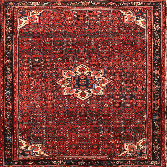 Square Traditional Sienna Brown Medallion Rug, tr1650