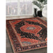 Traditional Rust Pink Medallion Rug in Family Room, tr1652