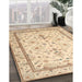 Machine Washable Traditional Sun Yellow Rug in a Family Room, wshtr1657