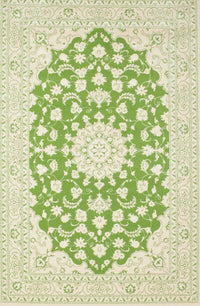 Machine Washable Traditional Yellow Green Rug, wshtr165