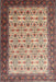 Machine Washable Traditional Brown Rug, wshtr1662