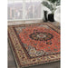 Traditional Saffron Red Medallion Rug in Family Room, tr1678