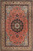 Traditional Saffron Red Medallion Rug, tr1678