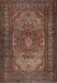 Traditional Dark Almond Brown Medallion Rug, tr1687