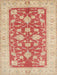 Machine Washable Traditional Orange Rug, wshtr1688