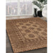 Machine Washable Traditional Saddle Brown Rug in a Family Room, wshtr1690