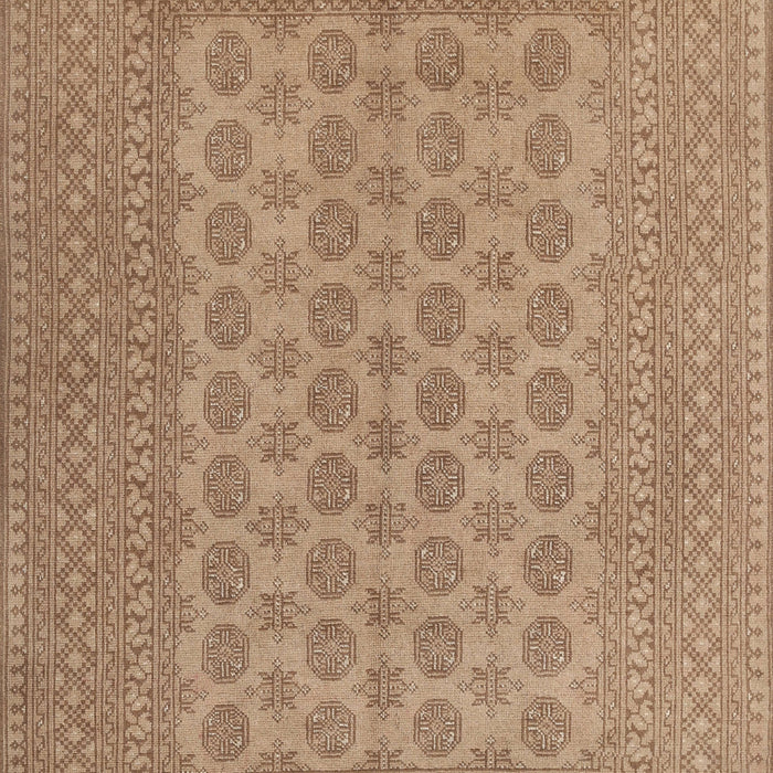 Machine Washable Traditional Light Brown Rug, wshtr1697