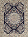 Traditional Tan Brown Medallion Rug, tr1702