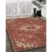 Traditional Red Persian Rug in Family Room, tr170