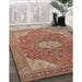 Traditional Brown Red Medallion Rug in Family Room, tr171