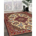 Traditional Saffron Red Medallion Rug in Family Room, tr1729