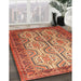 Traditional Mango Orange Persian Rug in Family Room, tr1732