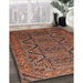 Machine Washable Traditional Bronze Brown Rug in a Family Room, wshtr1735