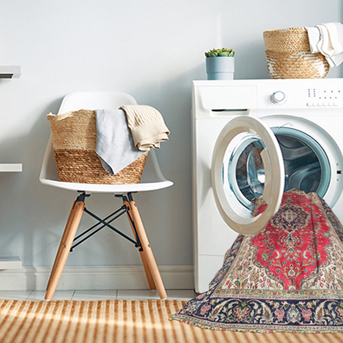 Machine Washable Traditional Light French Beige Brown Rug in a Washing Machine, wshtr174