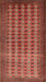 Machine Washable Traditional Tomato Red Rug, wshtr1765