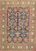 Machine Washable Traditional Sienna Brown Rug, wshtr176