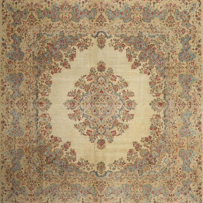Traditional Light Brown Medallion Rug, tr1782