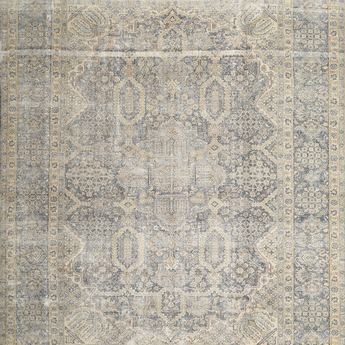 Traditional Desert Sand Beige Persian Rug, tr1787