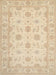 Machine Washable Traditional Khaki Gold Rug, wshtr1796