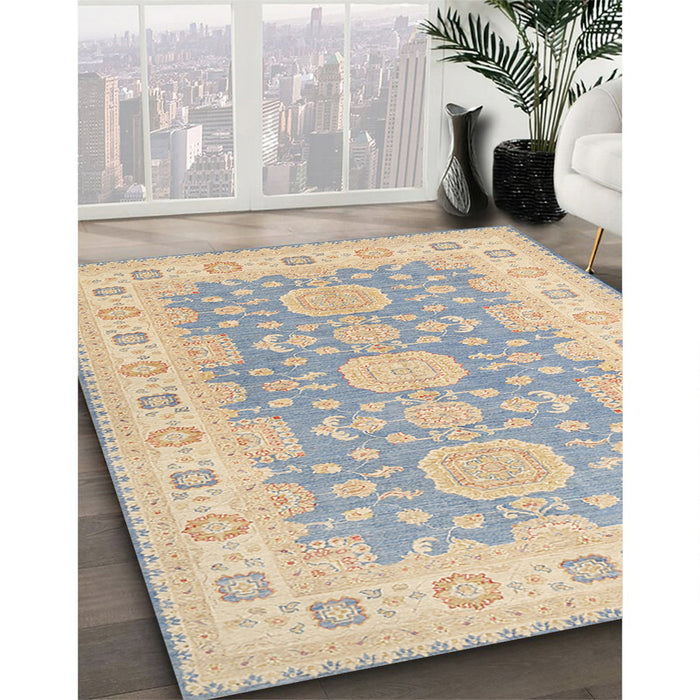 Traditional Brown Oriental Rug in Family Room, tr1800