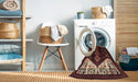 Machine Washable Traditional Brown Rug in a Washing Machine, wshtr1803