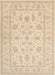 Traditional Khaki Gold Persian Rug, tr1820