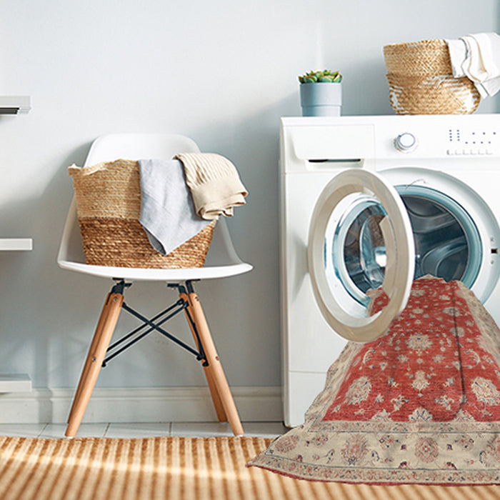 Machine Washable Traditional Brown Rug in a Washing Machine, wshtr1821