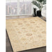 Machine Washable Traditional Sun Yellow Rug in a Family Room, wshtr1822