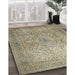 Machine Washable Traditional Dark Moccasin Green Rug in a Family Room, wshtr1827