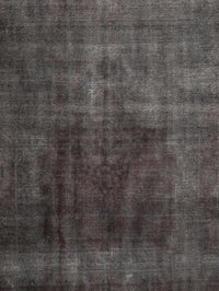 Machine Washable Traditional Ash Gray Rug, wshtr1854