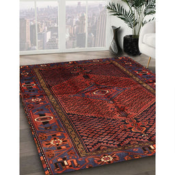 Traditional Brown Red Persian Rug in Family Room, tr1861