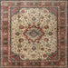 Square Traditional Brownish Green Persian Rug, tr1873