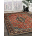 Traditional Dark Almond Brown Medallion Rug in Family Room, tr1879