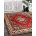 Traditional Red Medallion Rug in Family Room, tr1883