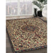 Machine Washable Traditional Bakers Brown Rug in a Family Room, wshtr1898