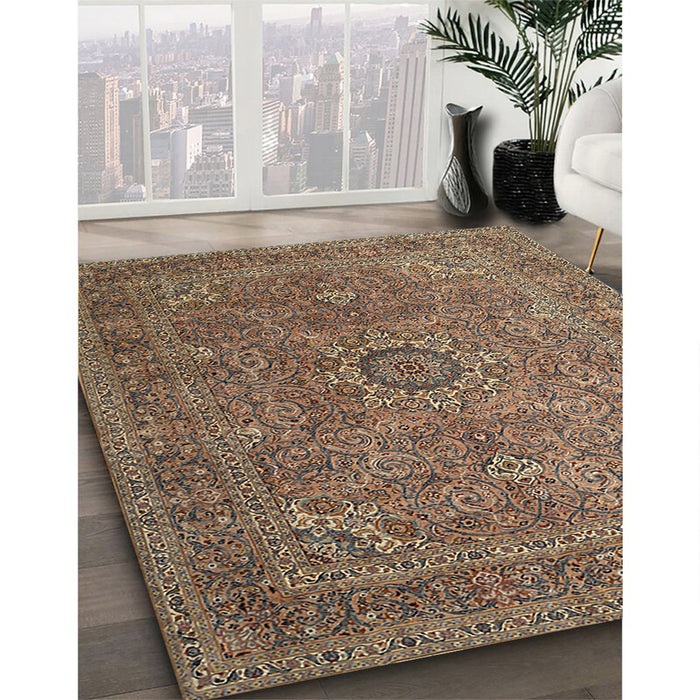 Traditional Brown Persian Rug in Family Room, tr1899