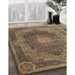 Traditional Copper Green Medallion Rug in Family Room, tr1901