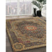 Machine Washable Traditional Brass Green Rug in a Family Room, wshtr1901